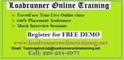 Load Runner Online Training with Job Assistance