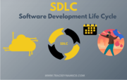SDLC (Software Development Life Cycle)