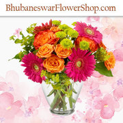  Exclusive Flower Shop in Bhubaneswar with Amazing Flowers Gift