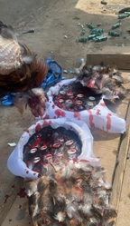 The World Powerful Spiritual Herbalist Juju Man In Nigeria+23480742331